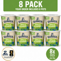 8x Quaker Oat So Simple Apple & Blueberry Porridge Pot 57g